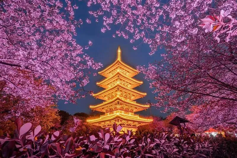 新手玩转武汉黄鹤楼·东湖·江滩一站式旅行攻略