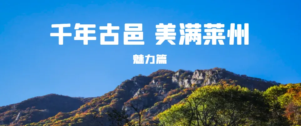 提前收藏!第36届莱州月季花节游玩全攻略奉上!全城“花”式整活,5月15日不见不散!