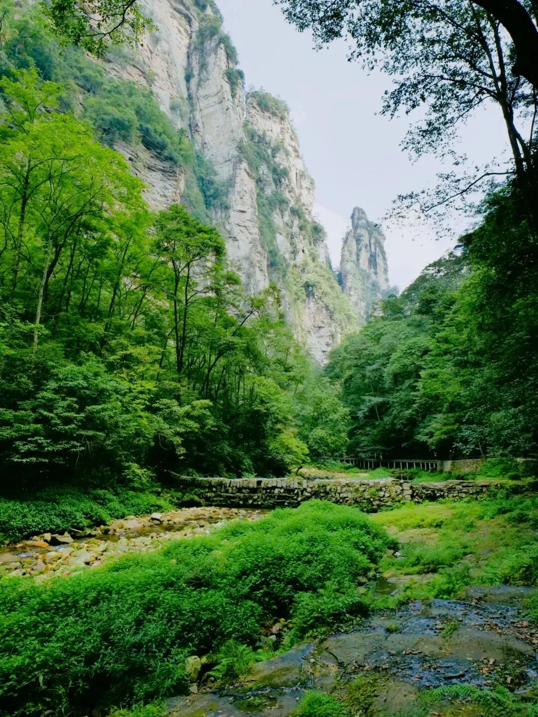 乡村旅游火爆出圈,5月正是游玩好时节