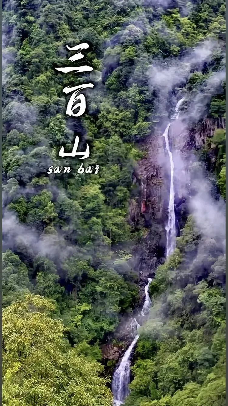 藏在赣州安远的天然氧吧|三百山保姆级旅游攻略|周末短途游|玻璃栈道