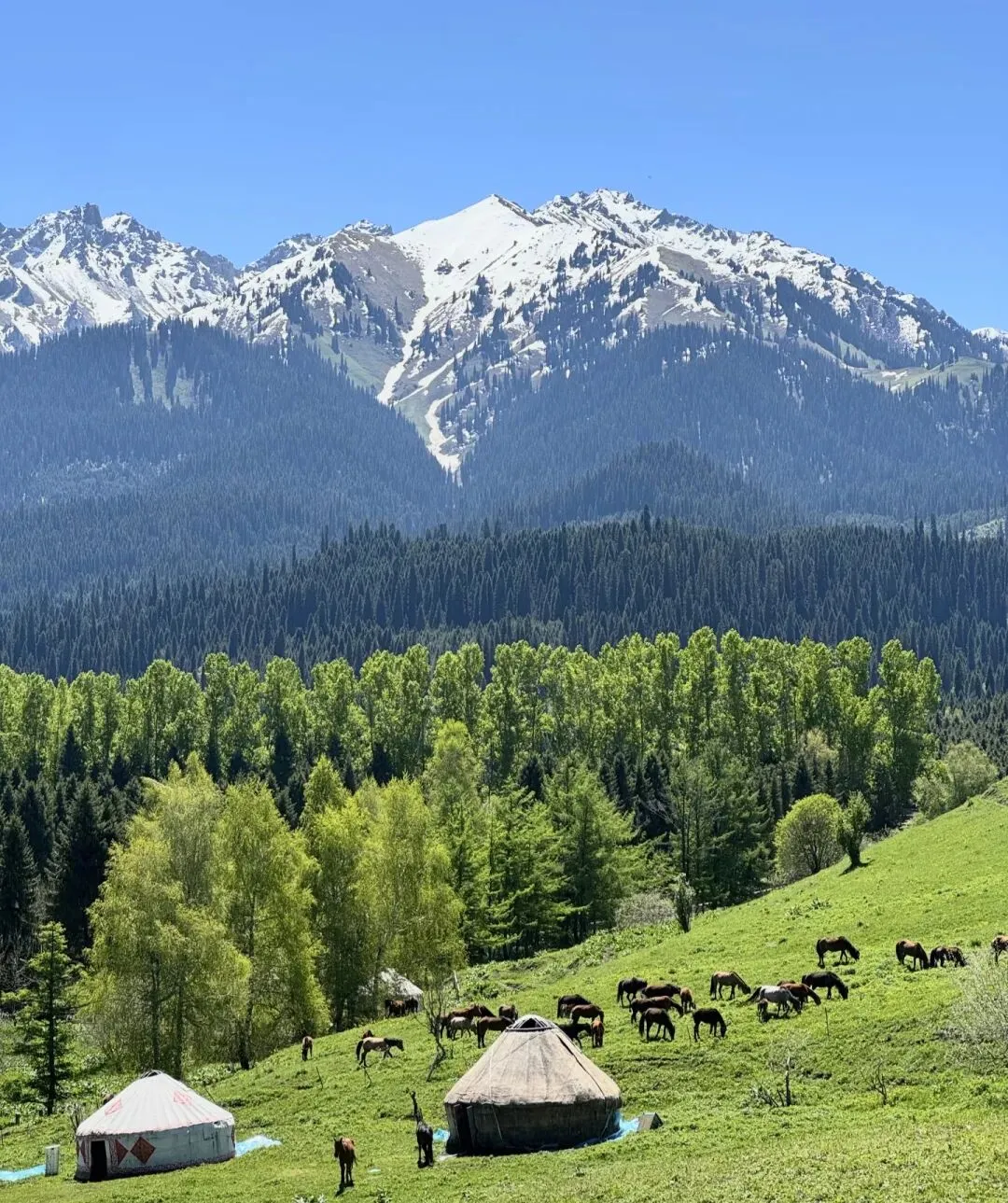 五月-七月新疆旅游攻略