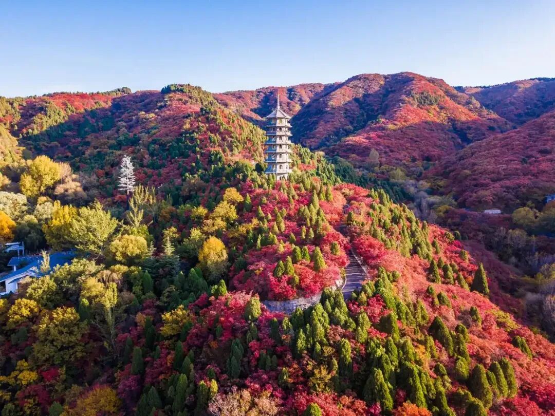 周末旅行指南|藏在海淀人少景美