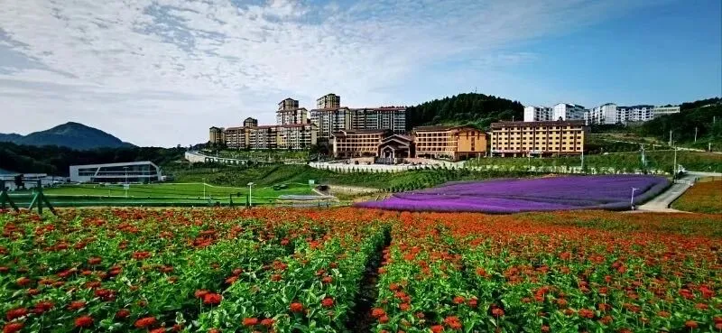 绿葱坡旅游度假区超详细中老年出行交通攻略