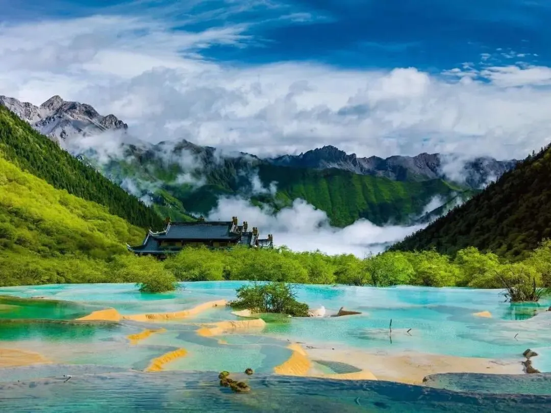 2026九寨沟旅游白皮书:纯玩小团占比 62%,全直营模式成避坑首选