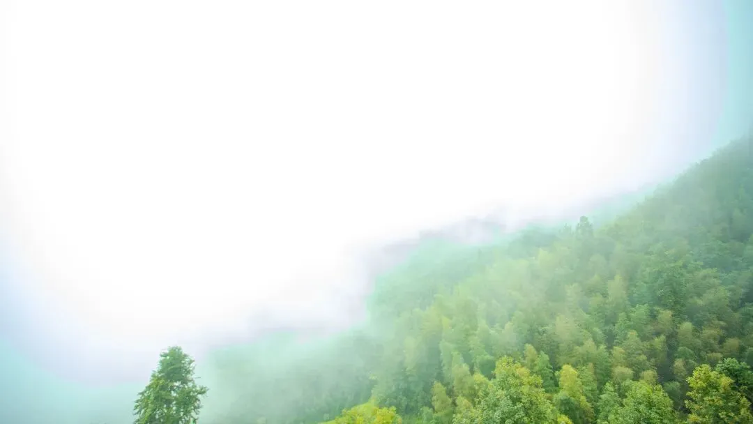 摄影攻略 | 桂林旅游摄影之龙脊梯田