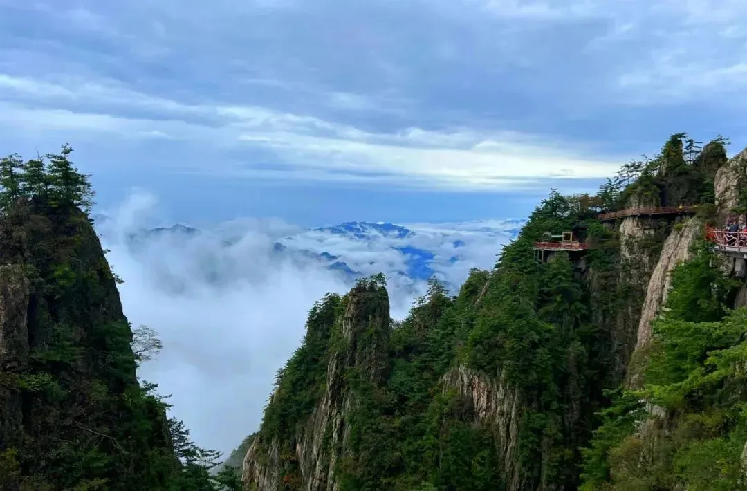 老君山全景旅游攻略