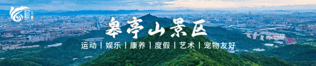 导航到了却不会进?皋亭山景区入口攻略来了