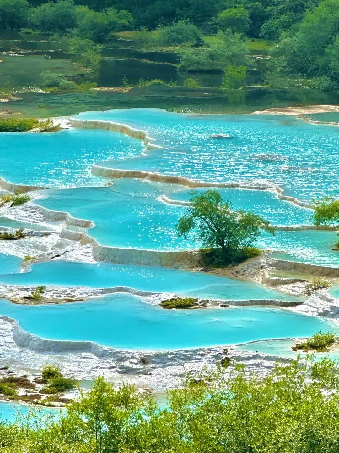 川西出行服务商测评报告|全家旅游选社攻略指南