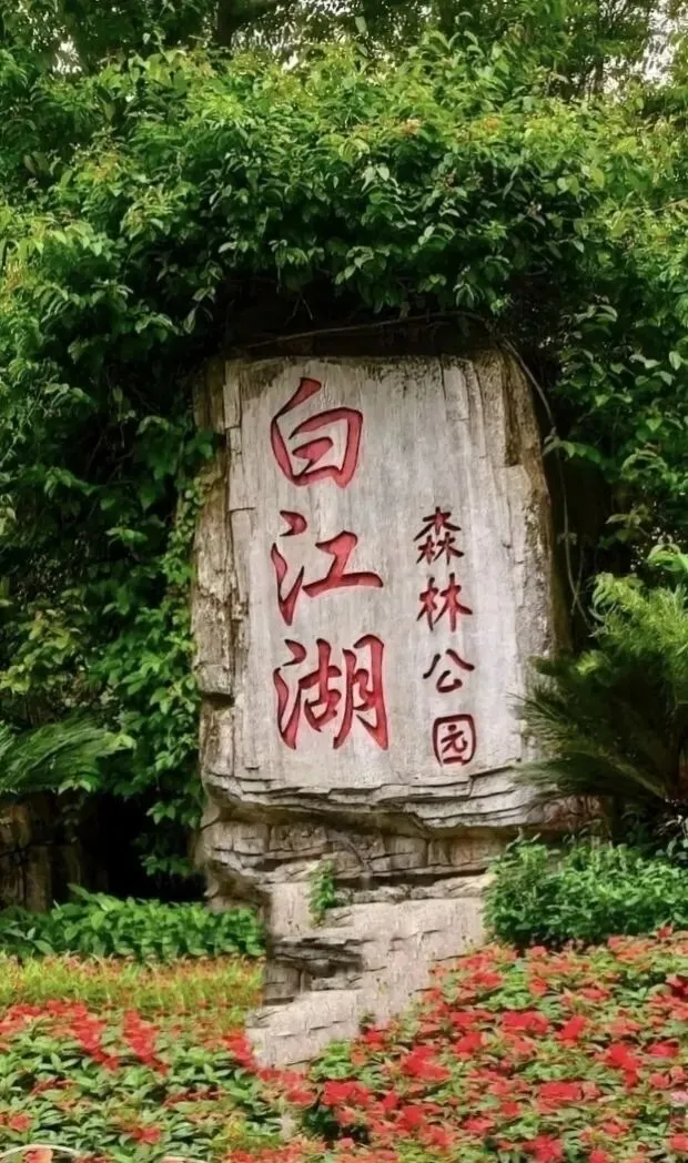 广州增城白江湖森林公园溯溪游玩全攻略|藏在深山的天然避暑溪谷,一站式打卡清凉秘境