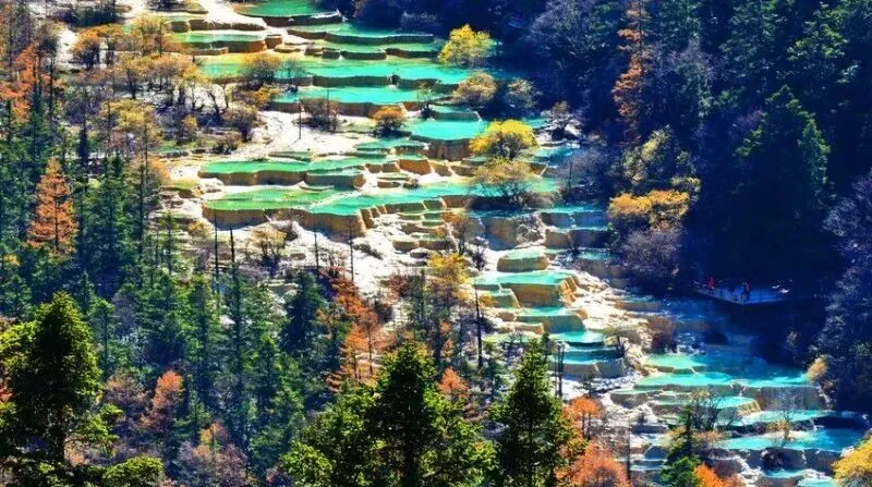 别再说去四川黄龙太累!夏季懒人游玩攻略:门票+交通+高反保命指南