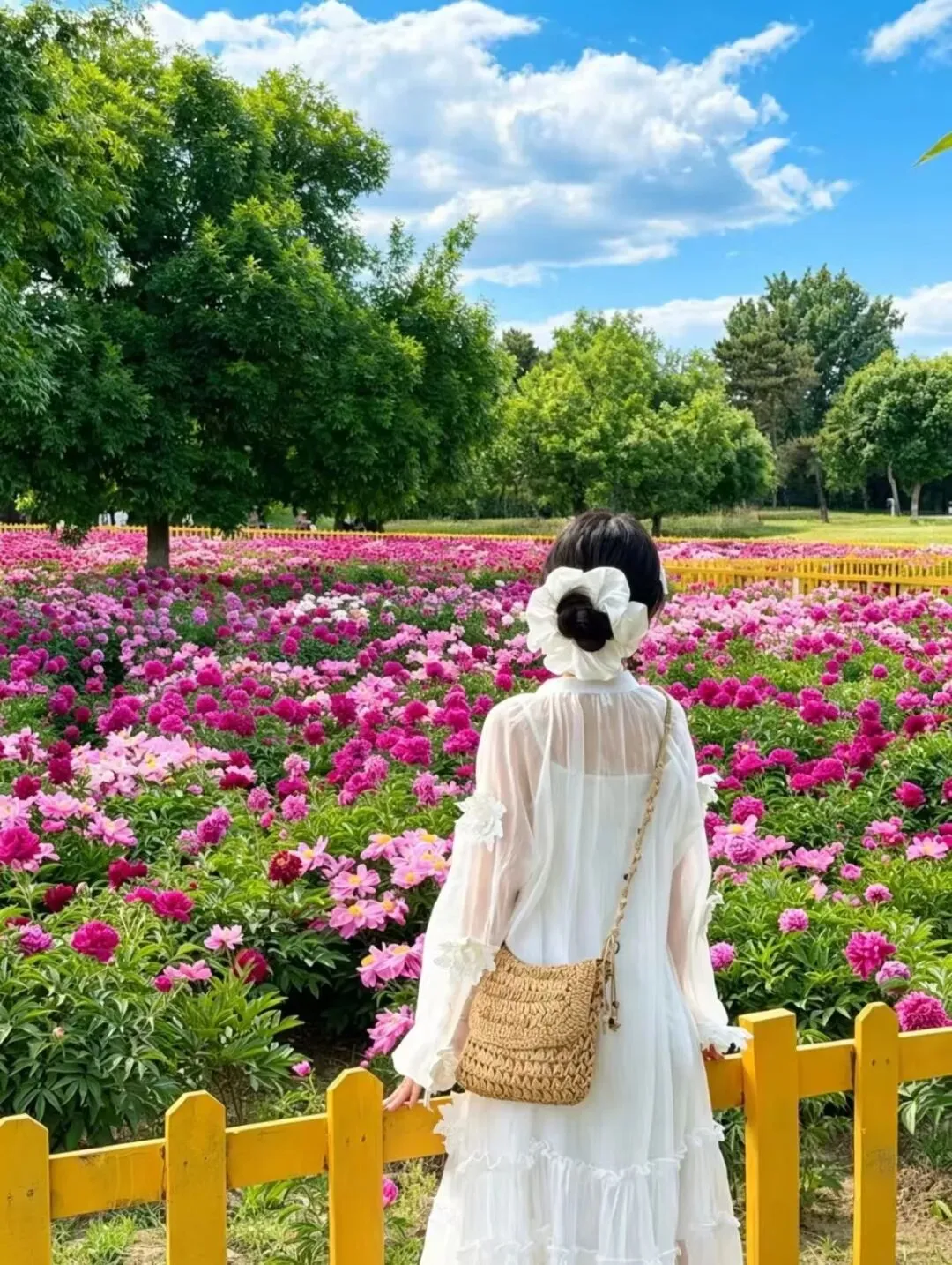 6月北京保姆级旅游攻略|初夏赴京,解锁千年皇城与夏日烟火