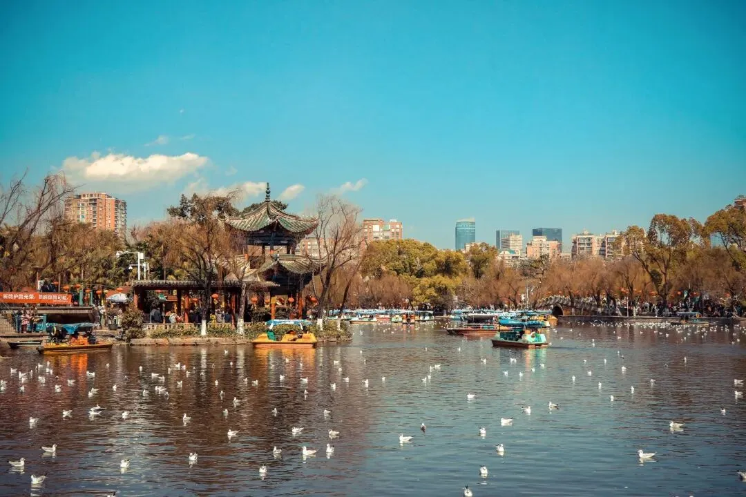云南7天6晚详细自由行攻略(昆明-大理-丽江,保姆级)