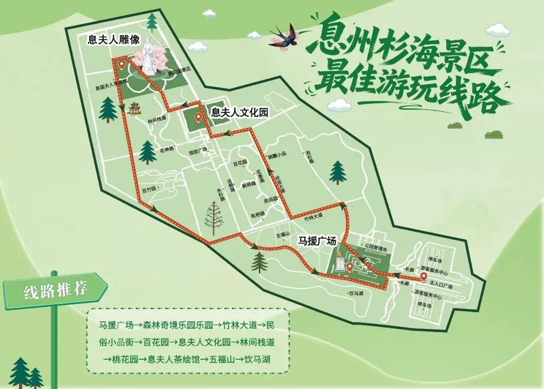 漫步息州杉海|超治愈一日游玩赏线路全攻略