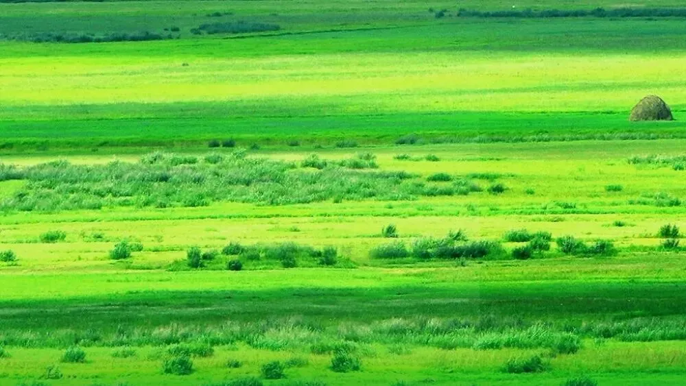 内蒙旅行攻略全系列【第一篇】丨别再盲目跟风去内蒙了!内蒙全域分区指南来了,新手直接抄