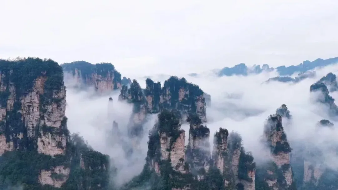 2026张家界旅游3天2晚亲子游攻略湘青旅深度测评