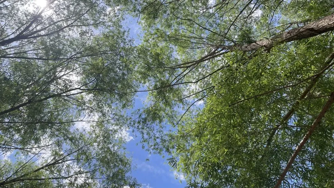 灵武长流水景区·亲子暑期玩水攻略