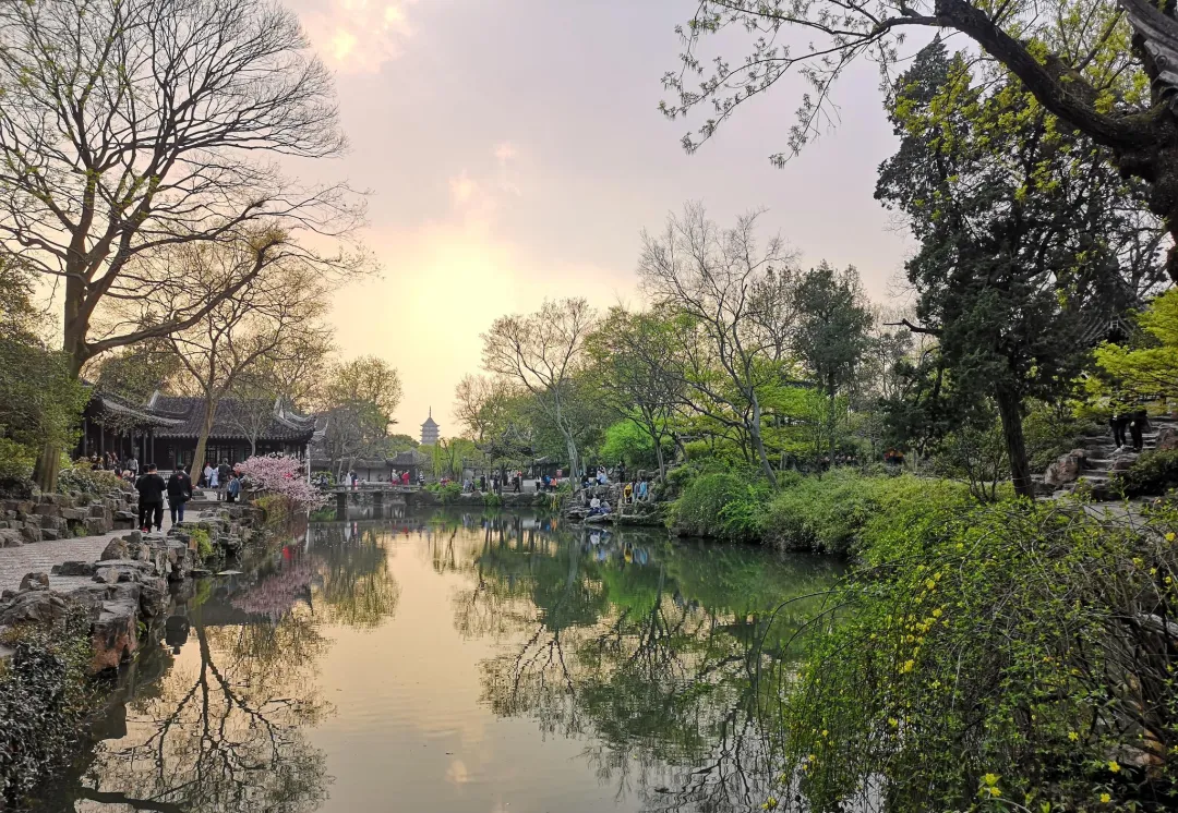 必码!苏州旅游攻略,拙政园+平江路,邂逅江南园林的温婉雅致