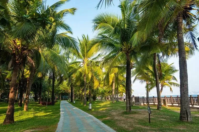海南三亚||旅游两天两晚旅行攻略,免费打卡还能出大片