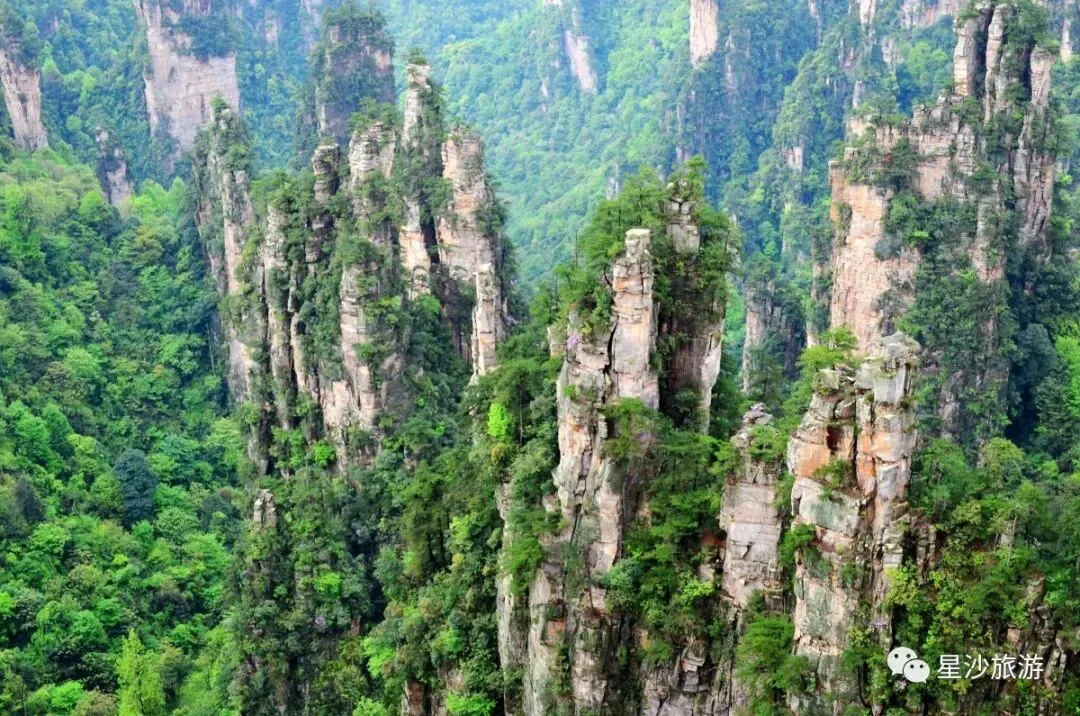 张家界、凤凰古城旅游攻略