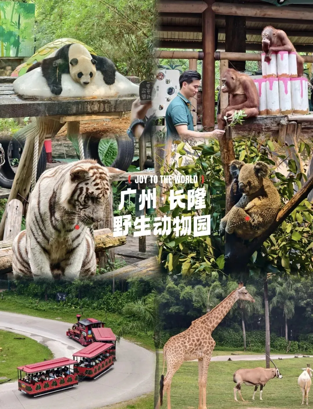 2026六一儿童免票景点攻略|全国乐园&景区汇总,亲子出游省钱指南