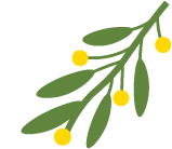 小长假怎么玩?庙镇镇东村游玩攻略告诉你