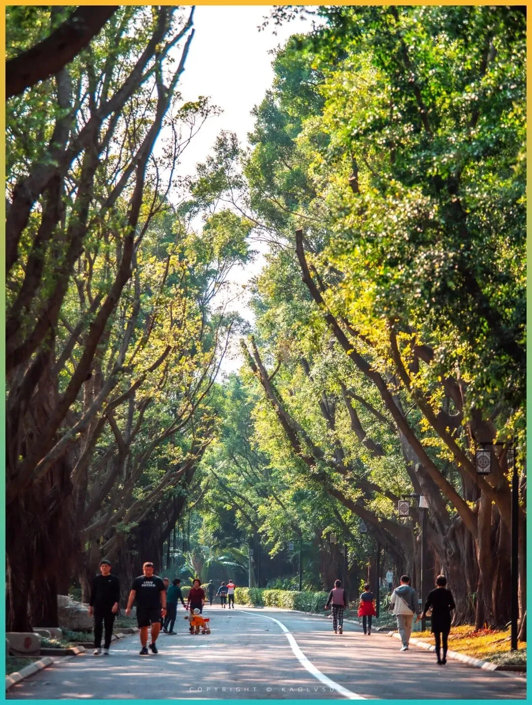 强烈建议6月走起!江浙沪皖周边最美自驾路线,收藏起来假期安排!