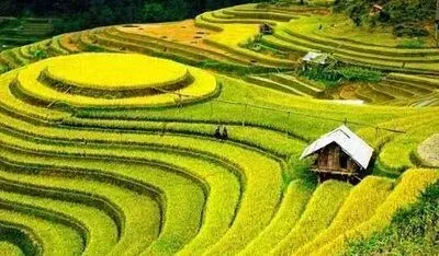 中国旅游全攻略湖南最美梯田——紫鹊界梯田