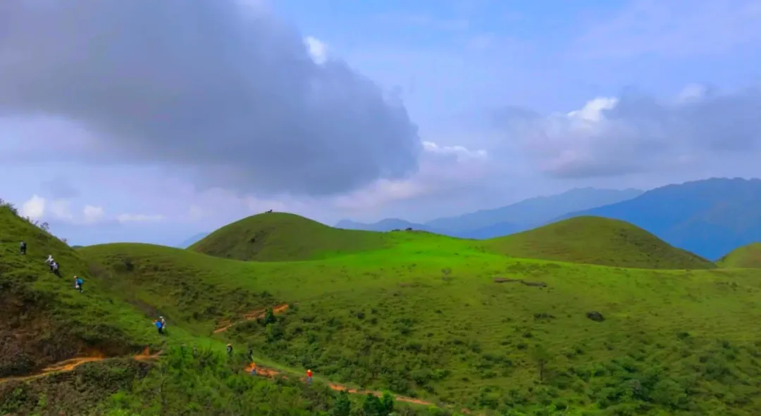 吃货旅行|阳春鸡笼顶 2 天 1 晚攻略|广东小武功山 + 云海杜鹃 + 地道农家味