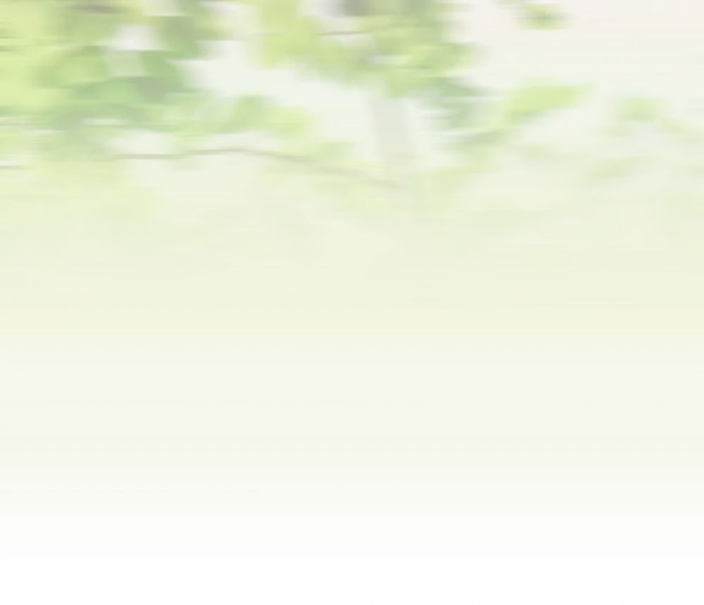 每周出游计划必看 | 逃离城市计划:奔赴一场海岛之约,去万宁赶海,去三亚看海