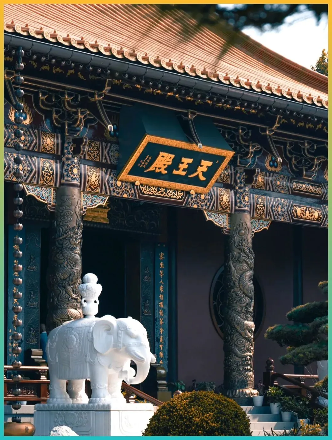 自驾游5年经验分享!6-7月江浙沪这些路线必须安排,人间值得不后悔!