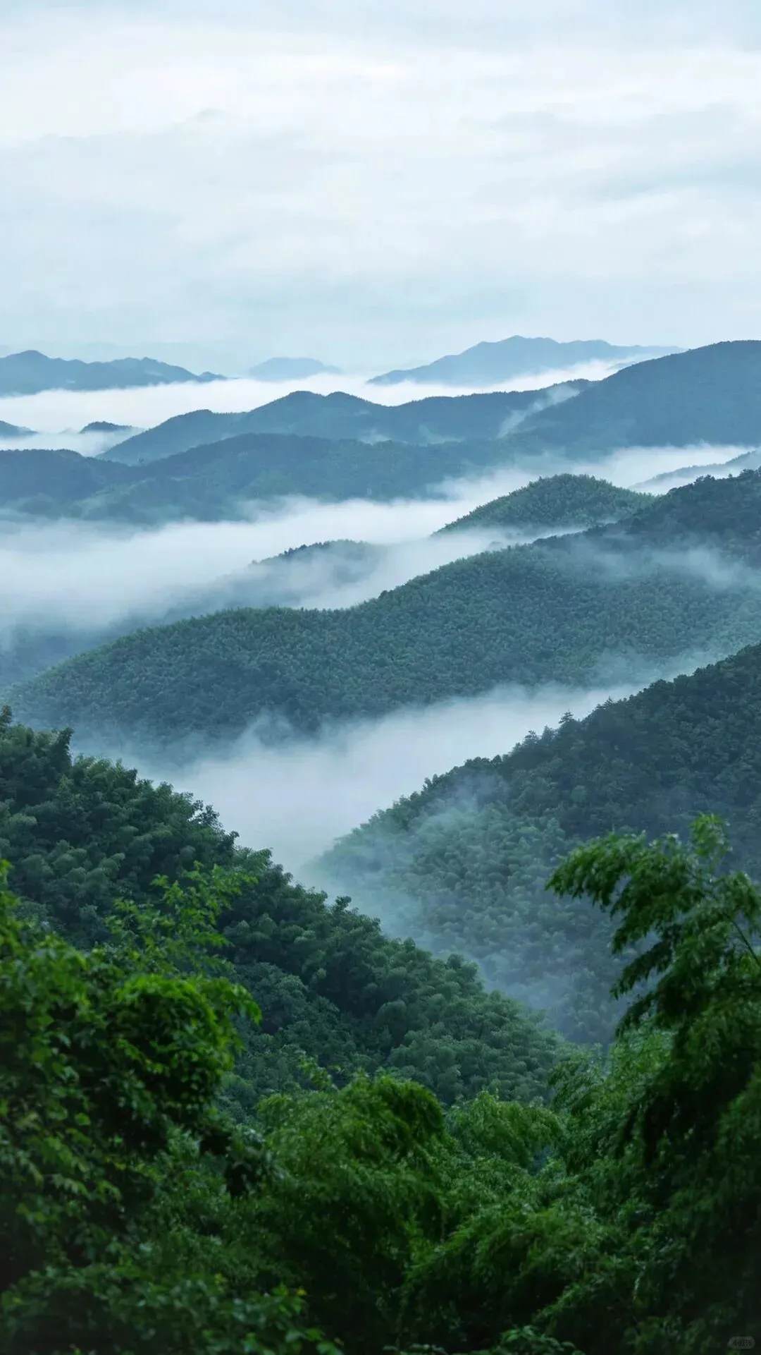 6月自驾游必备!江浙沪最美山水路线,油门一踩就是治愈风景!