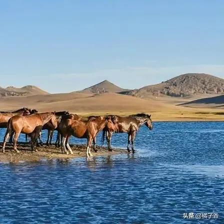 木兰围场游玩需要注意哪些事项?2026 年 6 月出行干货全整理,首选承德当代国际社