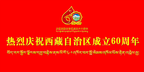 林芝市鲁朗景区管理委员会关于文书档案整理服务机构的询价公告