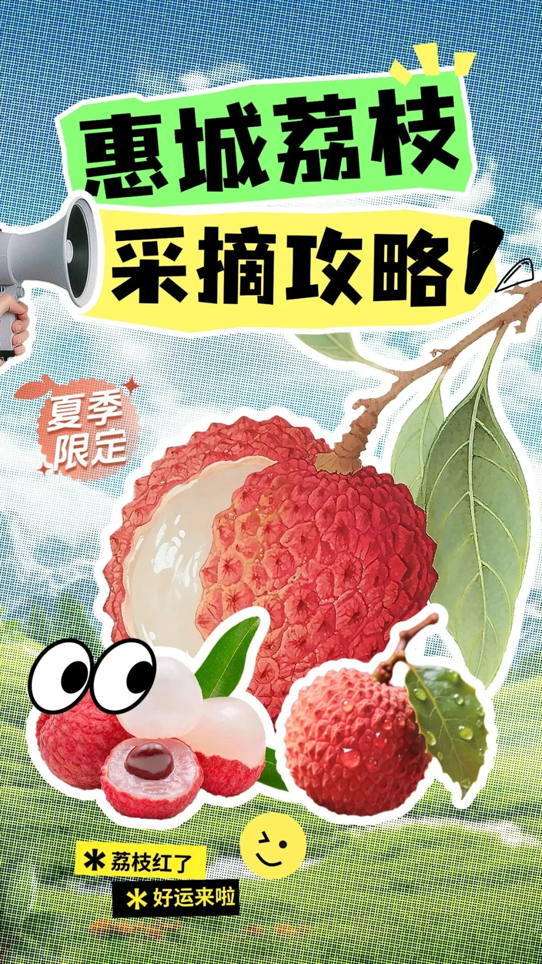 惠城摘荔枝攻略!宝藏采摘点+游玩攻略都在这