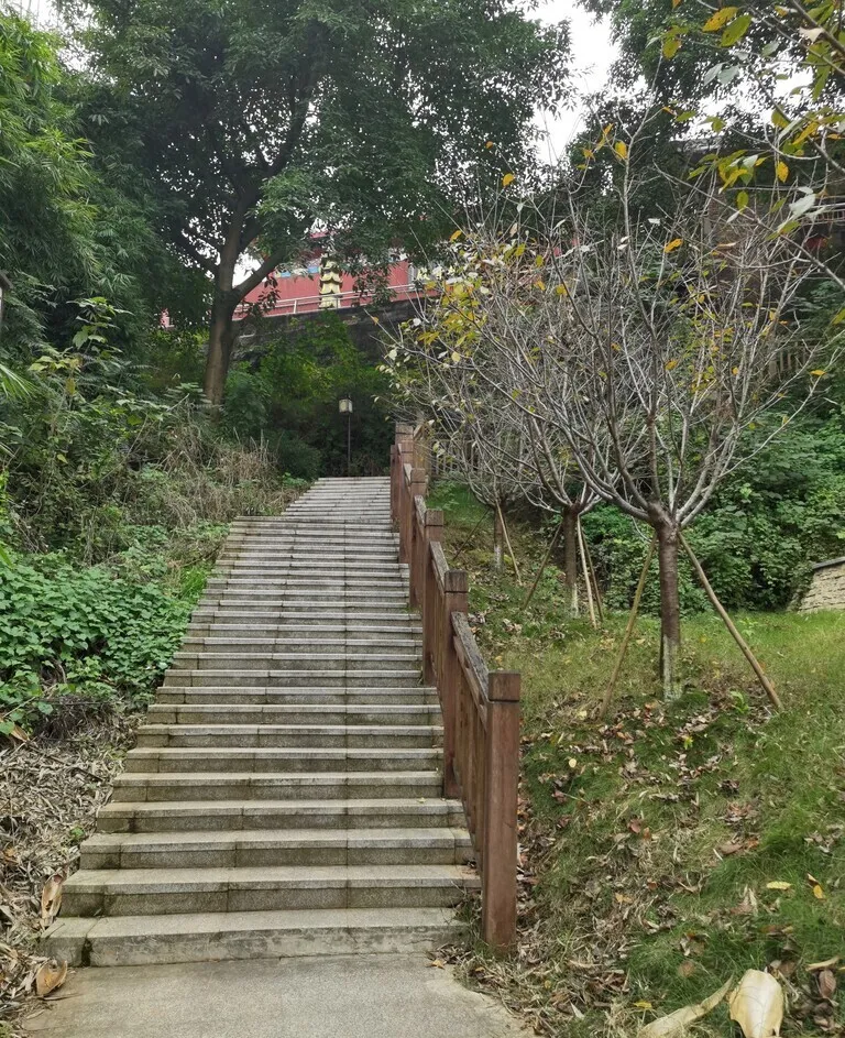 为什么旅游攻略从不推荐这里?因为这条半小时登顶的路线,轻松到让户外博主无话可夸!