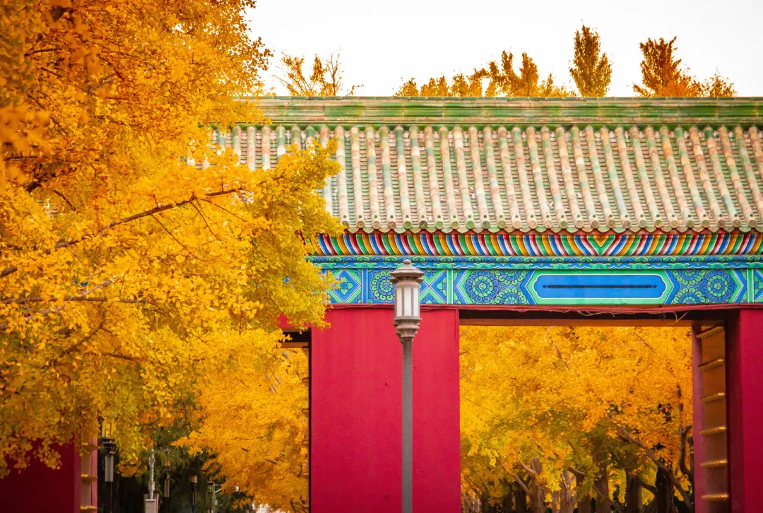 2026年北京旅游超全攻略:这些路线与门票信息你不可错过!