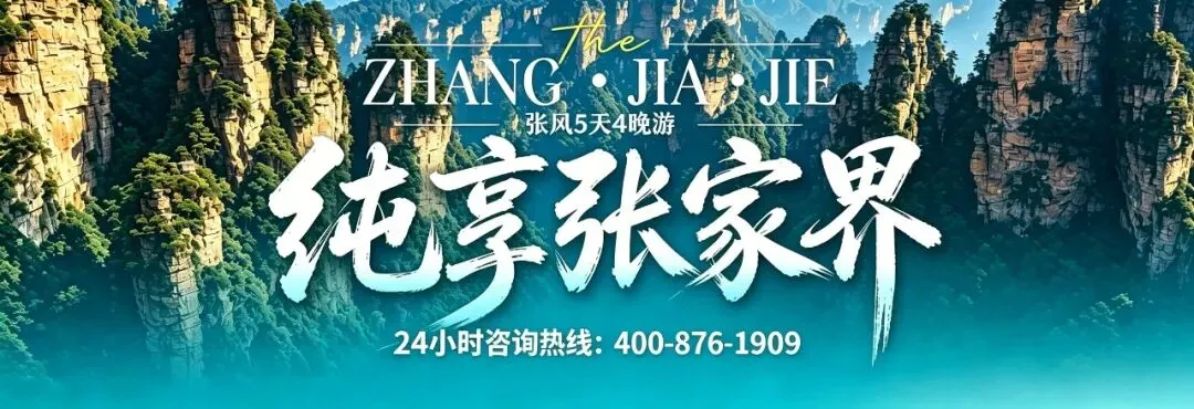 2026广州去张家界保姆级攻略|5天4晚纯玩小包团,避开99%旅游坑