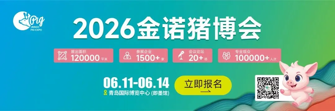 【金诺猪博会游玩攻略】7月来青岛吃喝玩乐,最佳路线新鲜出炉