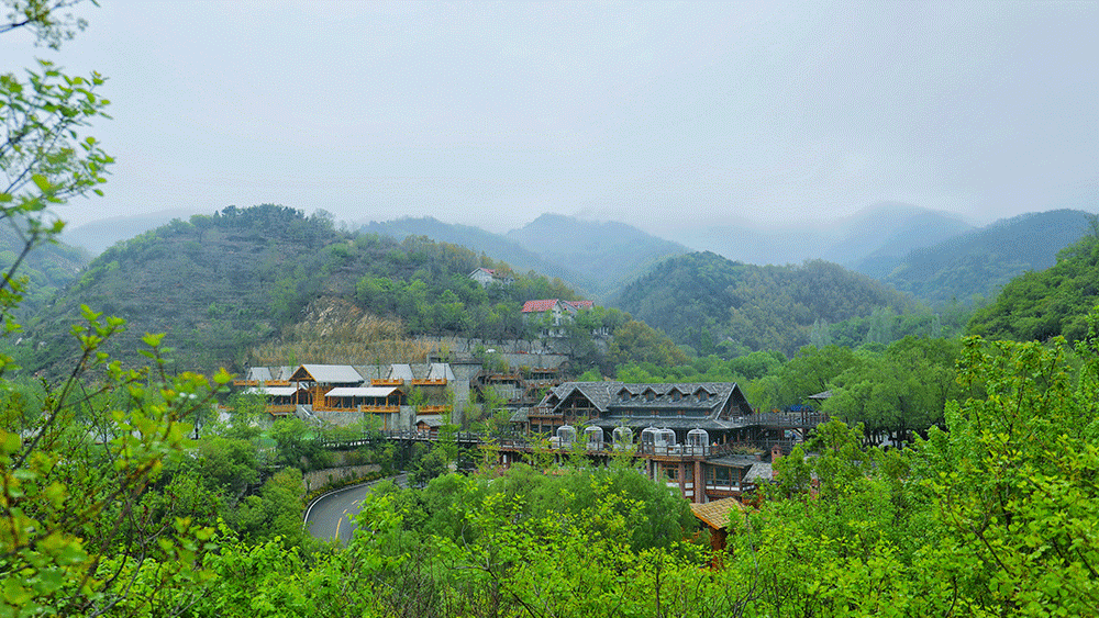 济南南部山区游玩攻略出炉(篇一)!走进省城的后花园,赴一场山野治愈之旅