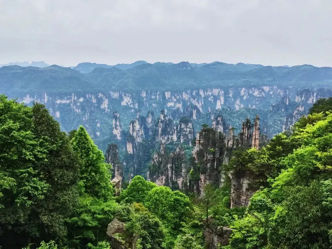 张家界旅游攻略,五一刚回来,暑假出行先看,可以紧急避坑!