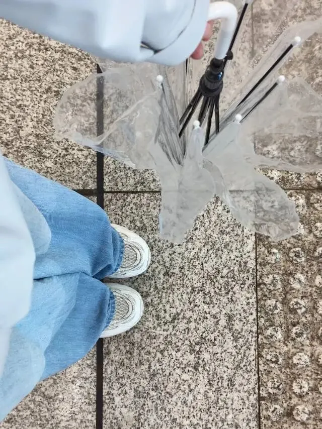 大连·烟台·青岛五天四晚旅游攻略