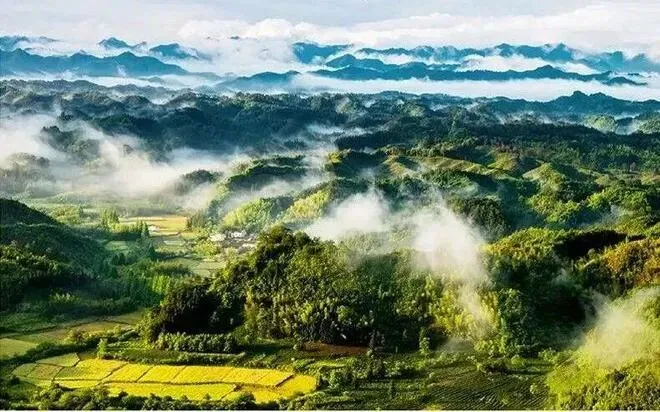 天下奇山黄山旅游攻略