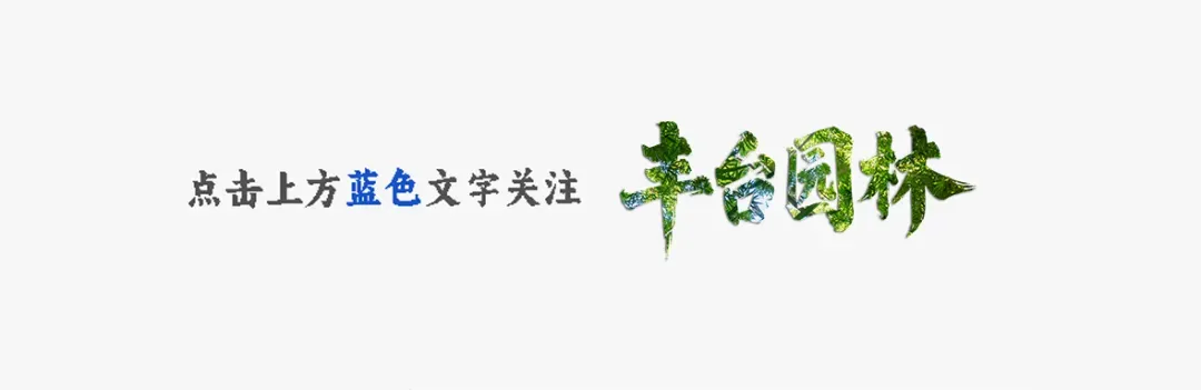 北京旅游休闲绿道打卡攻略|在丰台,骑行追落日,漫步赏花海