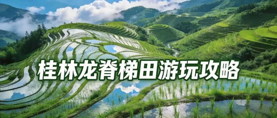 桂林龙脊梯田游玩攻略(寨子,插秧,门票,玩法,大巴)