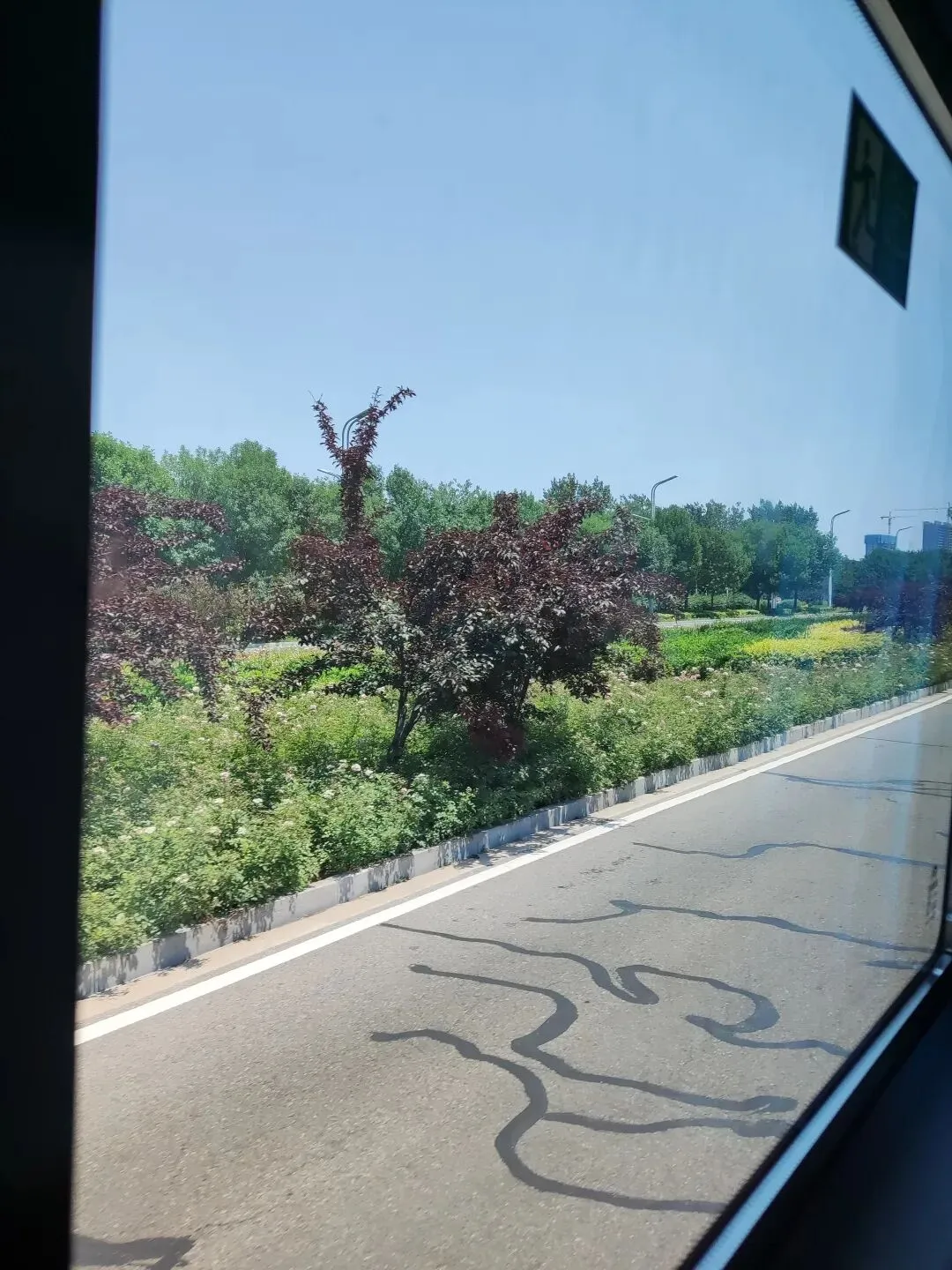 辉游报|每日旅行指南(2026年6月11日)