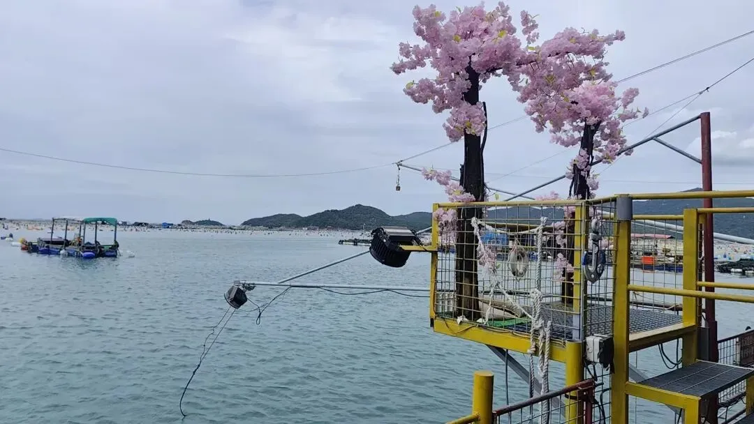 闽粤小众海岛旅游攻略|漳州 + 南澳岛 3 天纯玩深度体验