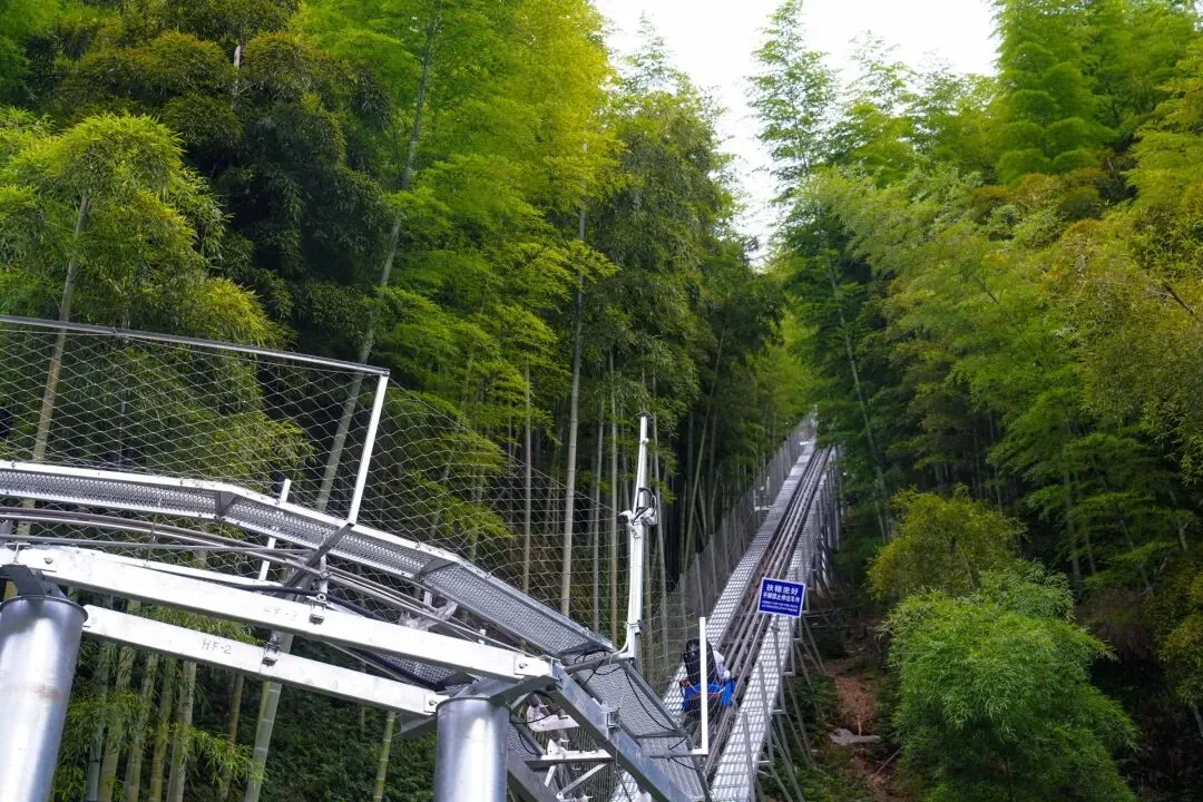 安吉旅游全攻略 | 开启绝美自然之旅