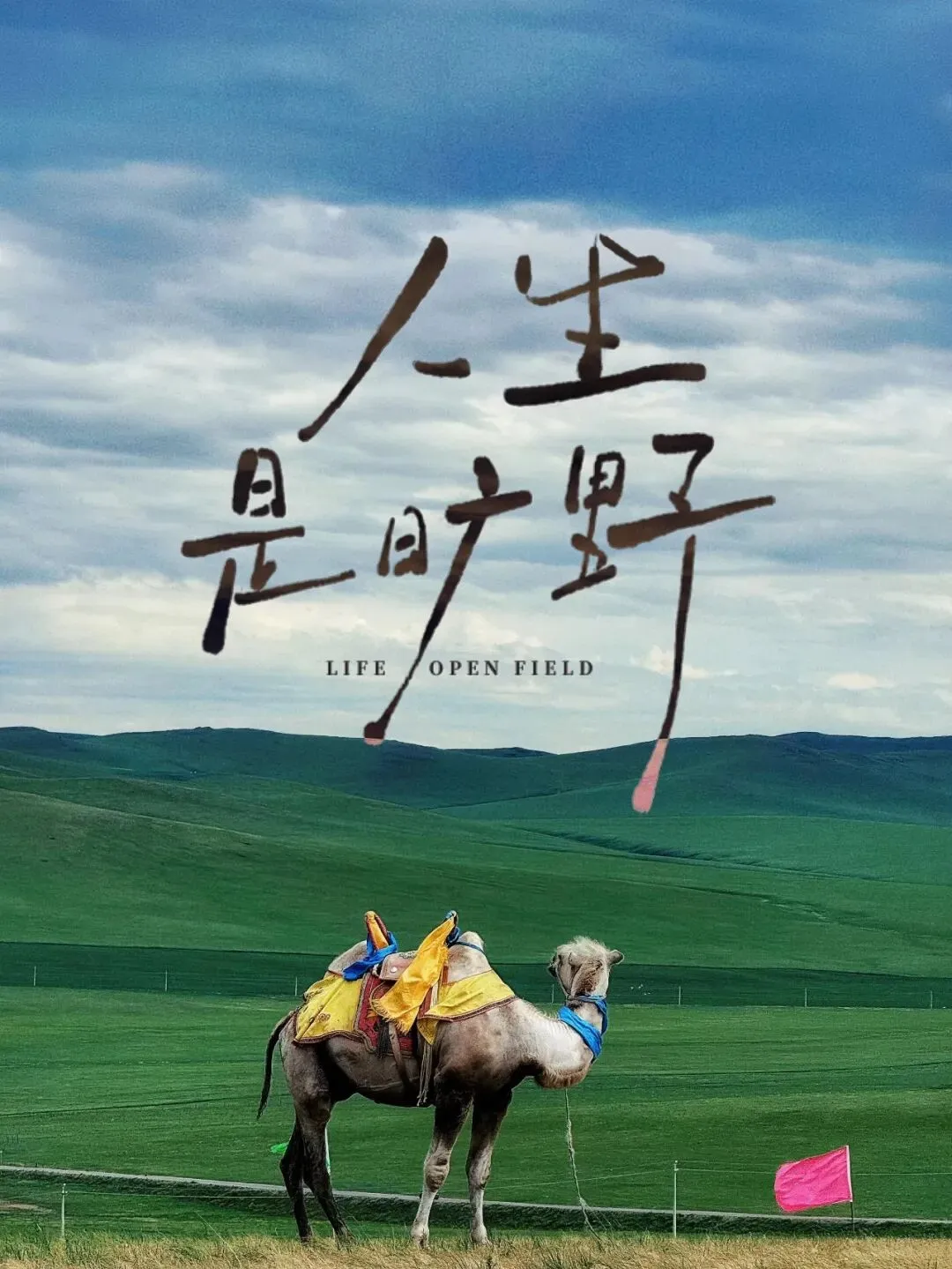 呼伦贝尔最全旅游攻略 | 景点+体验+美食 新手零踩雷