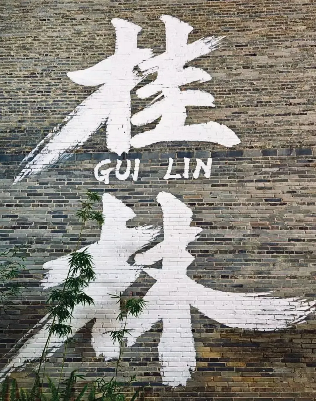 桂林+龙脊梯田+阳朔旅游全攻略【保姆级路线指南】