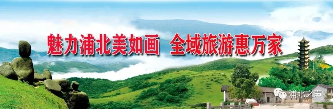 周末出逃不内卷!浦北2-3天康养游玩攻略